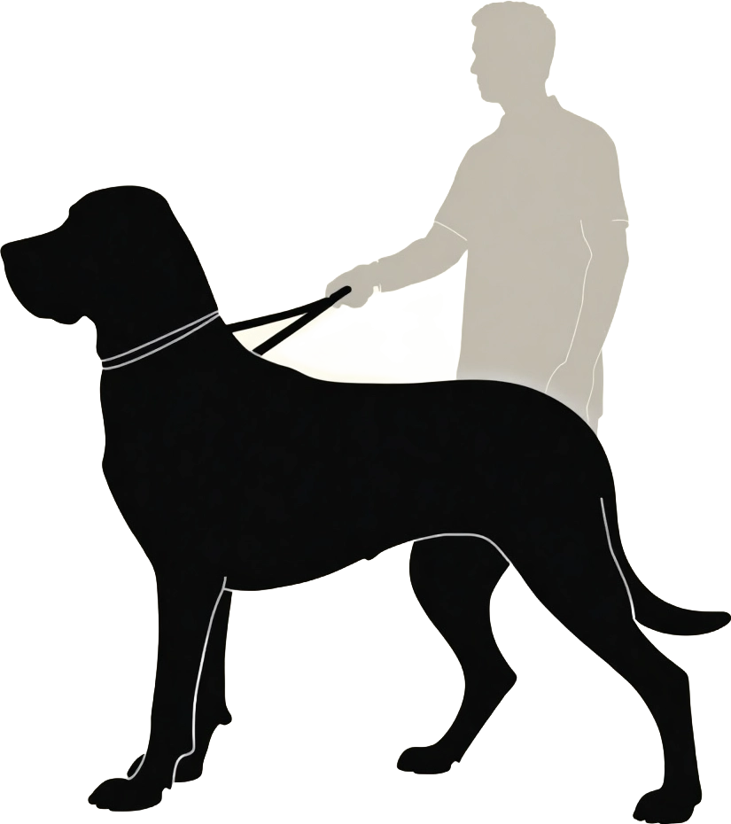 Man and Dog Silhouette